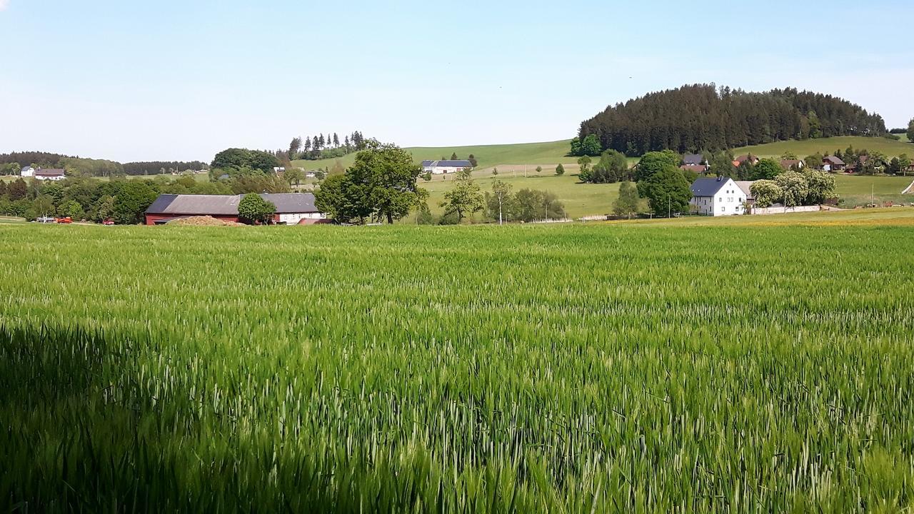 Landhotel "Lichte Aue" Lichtenau Stutzengrun エクステリア 写真